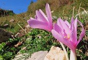 Cima Foppazzi (2097 m) e Cima Grem (2049 m) da Alpe Arera - 2ott23 - FOTOGALLERY